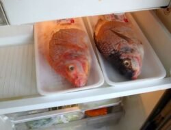 6 Tips Simpan Ikan di Kulkas agar Tetap Segar dan Tak Berbau