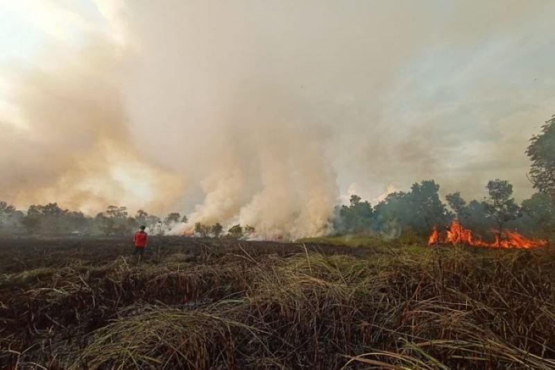 Ancaman Karhutla: Lebih dari 6.600 Hotspot Terdeteksi di Indonesia