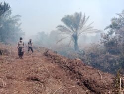Kabut Asap Kiriman Karhutla Riau dan Sumsel Ganggu Pulau Bintan: BMKG Ingatkan Warga untuk Tetap Waspada