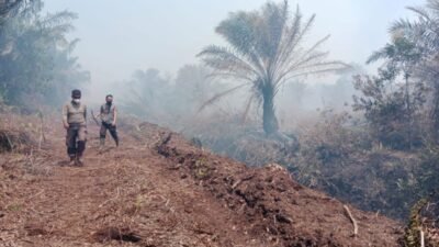 Kabut Asap Kiriman Karhutla Riau dan Sumsel Ganggu Pulau Bintan: BMKG Ingatkan Warga untuk Tetap Waspada