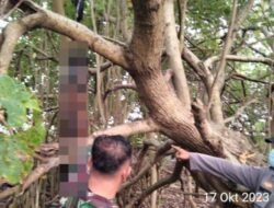 Warga Parupuk Tabing Padang Geger, Ditemukan Mayat Tanpa Identitas Tergantung di Pohon