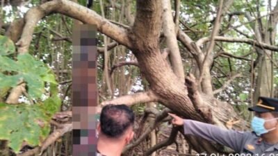 Warga Parupuk Tabing Padang Geger, Ditemukan Mayat Tergantung di Pohon