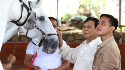 Pinang Gibran sebagai Cawapresnya, Prabowo Ungkap Respons Jokowi