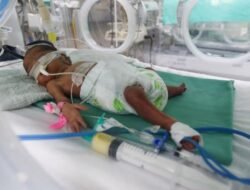 Serangan Udara Israel Hancurkan Unit Kardiologi di RS Al-Shifa, Ancam Nyawa Puluhan Bayi Prematur