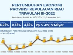 Data BPS: Perekonomian Kepri Turun di Triwulan III/2023, Apindo Minta Waspada