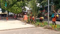 Tingkatkan Keandalan Listrik di Senjulung, PLN Batam Percepat Pembangunan Gardu Baru
